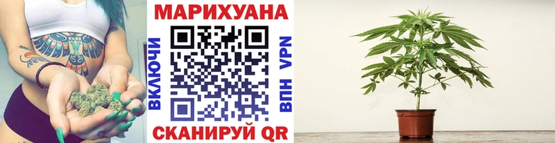 Шишки марихуана семена  купить наркотик  Сухой Лог 